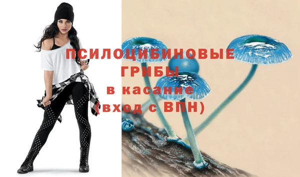 дурь Белоозёрский