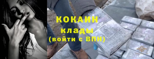 индика Беломорск
