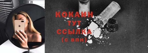 индика Беломорск