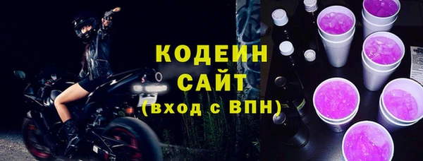 индика Беломорск