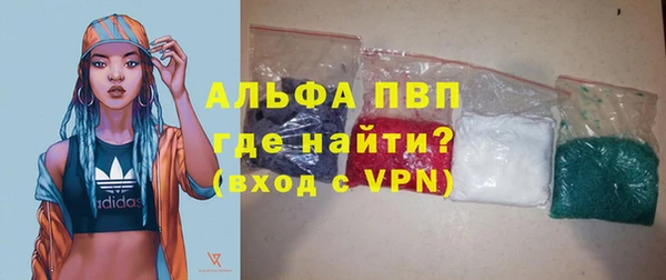 индика Беломорск