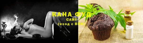 индика Беломорск