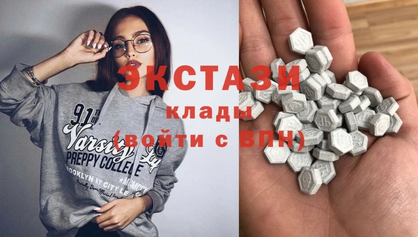 индика Беломорск