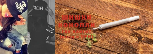 индика Беломорск