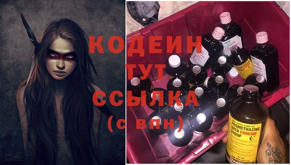 индика Беломорск