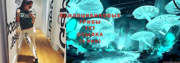 индика Беломорск