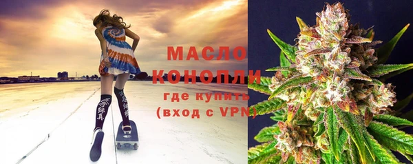индика Беломорск