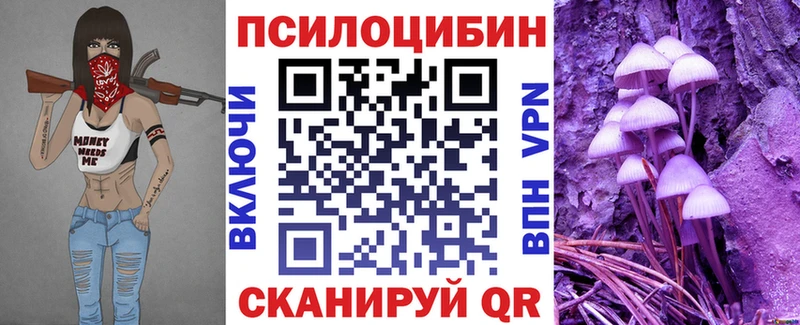 Псилоцибиновые грибы ЛСД  Городовиковск 