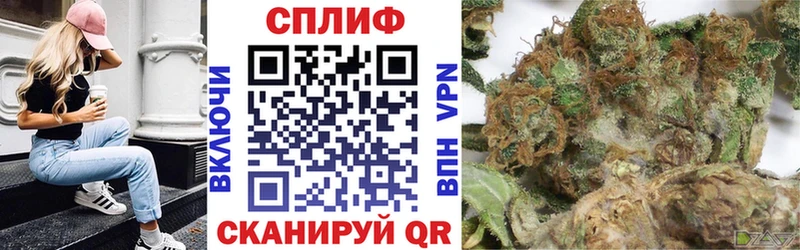 Конопля OG Kush  Городовиковск 